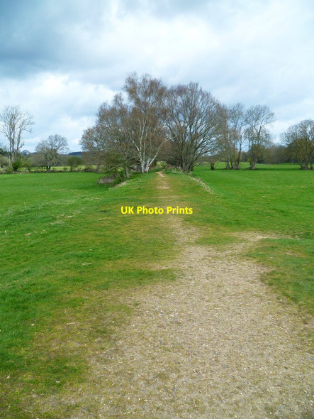 Photo 6"x4" Orange Way in Devon and Torbay (361) Fluxton c2012