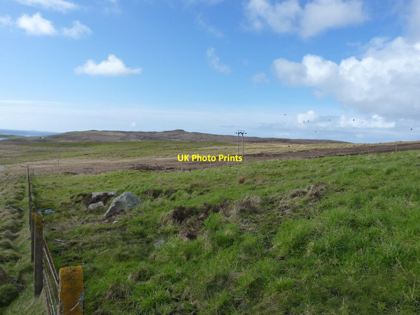 Photo 6"x4" Grazing land on Cleitreabhal a Deas Balranald c2012