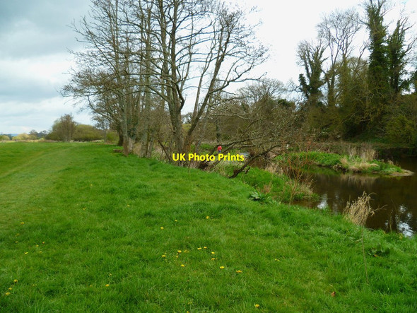 Photo 6"x4" Orange Way in Devon and Torbay (365) Ottery St Mary c2012