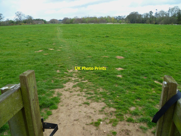 Photo 6"x4" Orange Way in Devon and Torbay (368) Ottery St Mary c2012