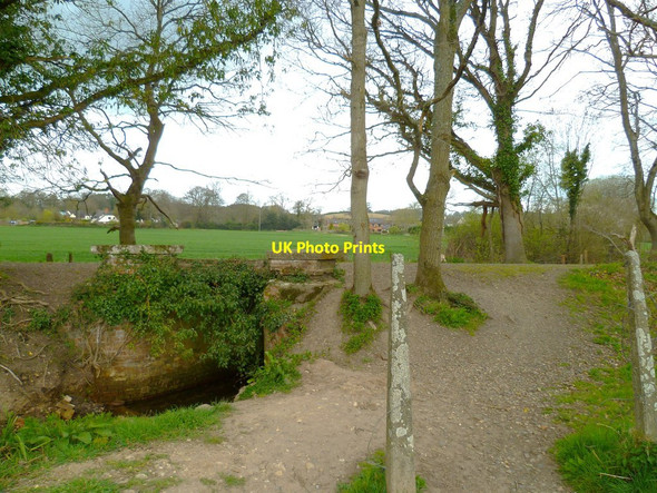 Photo 6"x4" Orange Way in Devon and Torbay (370) Ottery St Mary c2012