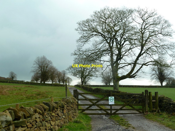 Photo 6"x4" Farm track to Fallinge  Beeley c2012