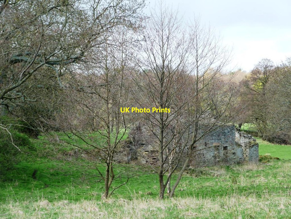 Photo 6"x4" The ruined Partridge Close Mill Cornsay c2012