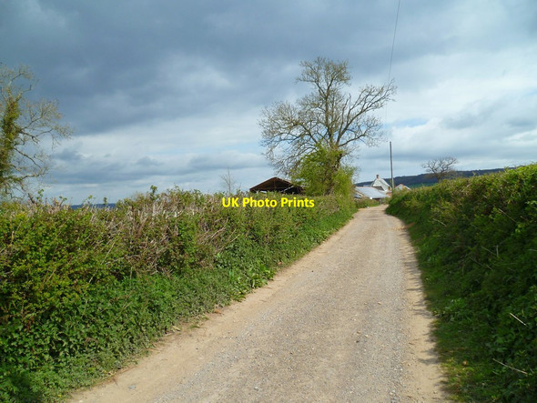 Photo 6"x4" Orange Way in Devon and Torbay (384)  Ottery St Mary c2012