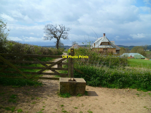 Photo 6"x4" Orange Way in Devon and Torbay (386) Ottery St Mary c2012