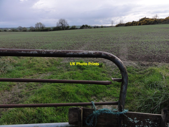 Photo 6"x4" Field over a gate Inishannon c2012