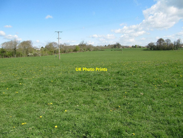 Photo 6"x4" View across the pasture Cossington\/ST3540 c2012