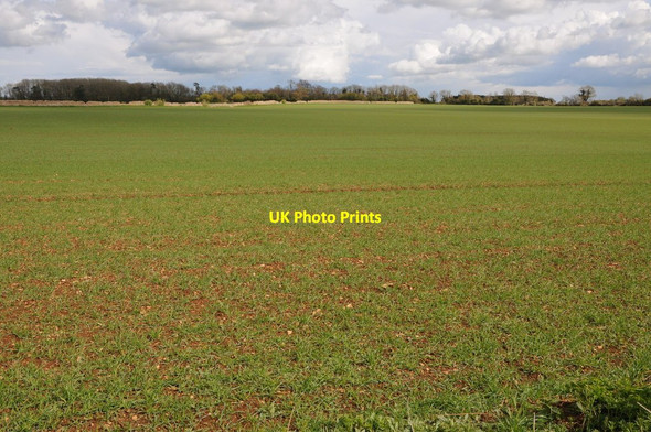 Photo 6"x4" Arable land at Cherington Cherington\/ST9098 c2012