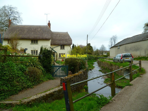 Photo 6"x4" Orange Way in Devon and Torbay (405) Gittisham c2012