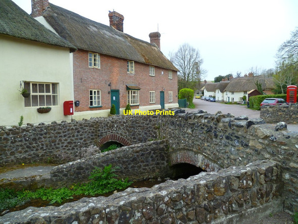 Photo 6"x4" Orange Way in Devon and Torbay (406) Gittisham c2012