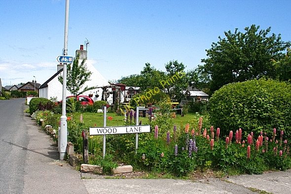 Photo 6"x4" Nether Dallachy Nether Dallachy\/NJ3663 c2008