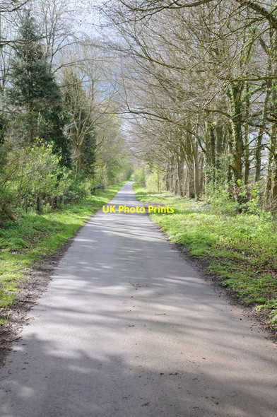 Photo 6"x4" Road past Upper Blackrock Covert Rodmarton c2012
