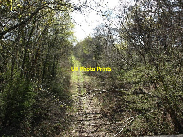 Photo 6"x4" The site of the dismantled Newton Abbot to Bovey Tracey railway Heathfield\/SX8376 c2012