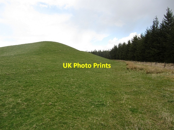 Photo 6"x4" Kame near Carnwath West End\/NS9646 c2012