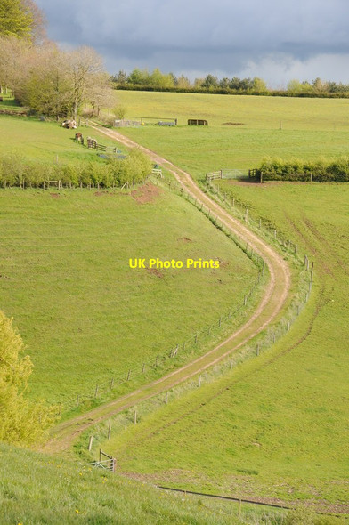 Photo 6"x4" Track near Gatcombe Farm Ball's Green c2012