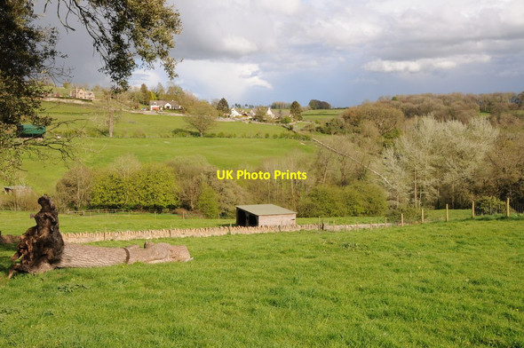 Photo 6"x4" Valley below Minchinhampton Nailsworth c2012