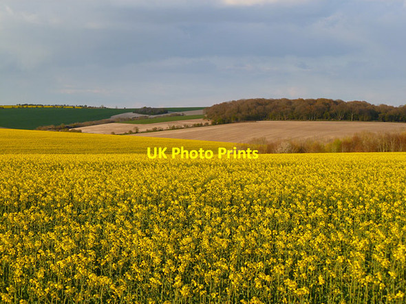 Photo 6"x4" Farmland, Collingbourne Kingston Aughton\/SU2356 c2012