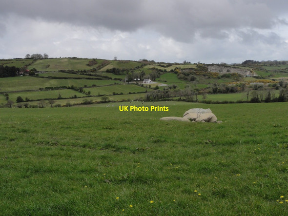Photo 6"x4" A closer view Ross Carbery c2012