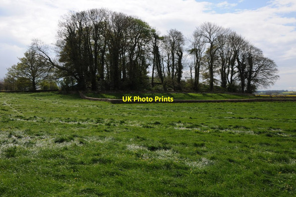 Photo 6"x4" Long Barrow at Leighterton Boxwell c2012