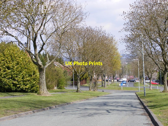 Photo 6"x4" Delhurst Avenue Sedgley c2012