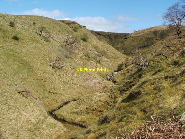 Photo 6"x4" The glen of the Red Burn Craigendoran c2012