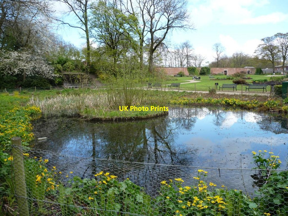 Photo 6"x4" Reflections in a small pond, Heaton Park Prestwich c2012