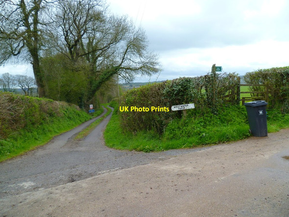 Photo 6"x4" Orange Way in Devon and Torbay (494) Axminster c2012