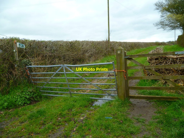 Photo 6"x4" Orange Way in Devon and Torbay (505) Axminster c2012