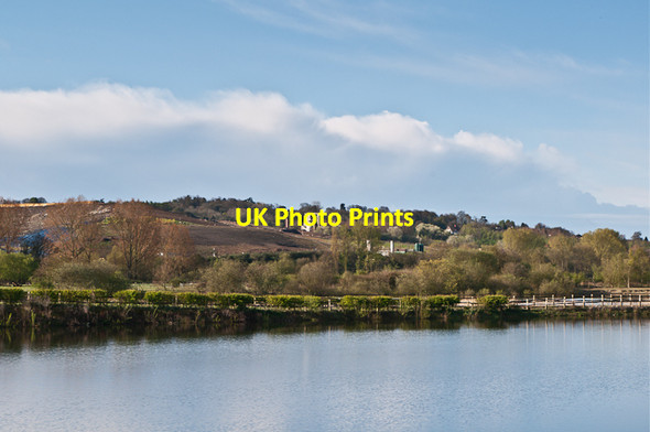 Photo 6"x4" The Moors Redhill\/TQ2750 c2012