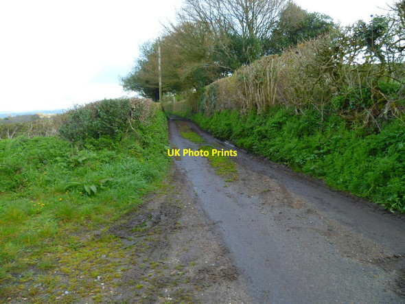Photo 6"x4" Orange Way in Devon and Torbay (507) Axminster c2012