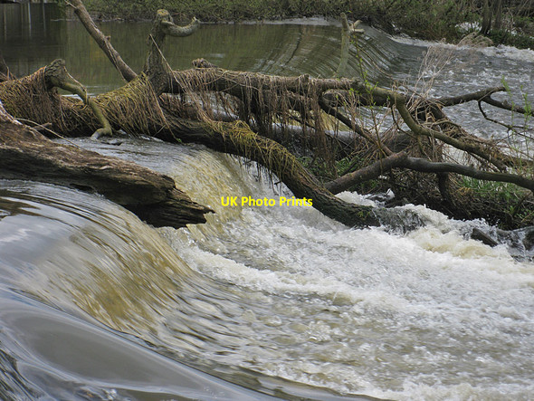 Photo 6"x4" Floating debris lodged on the weir Kirkham\/SE7365 c2012
