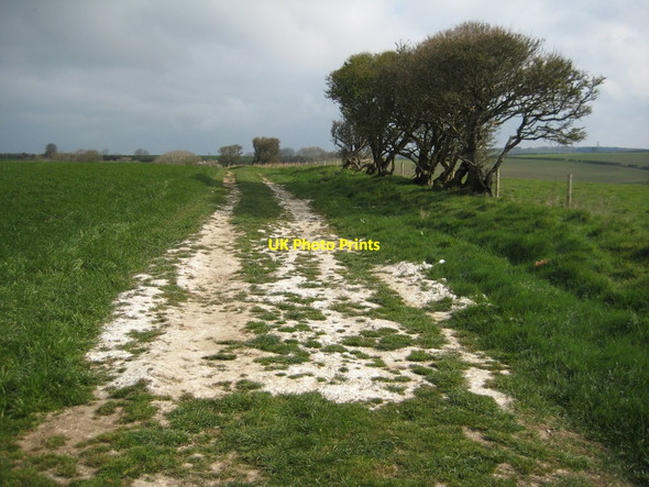 Photo 6"x4" Track on White Hill Abbotsbury\/SY5785 c2012