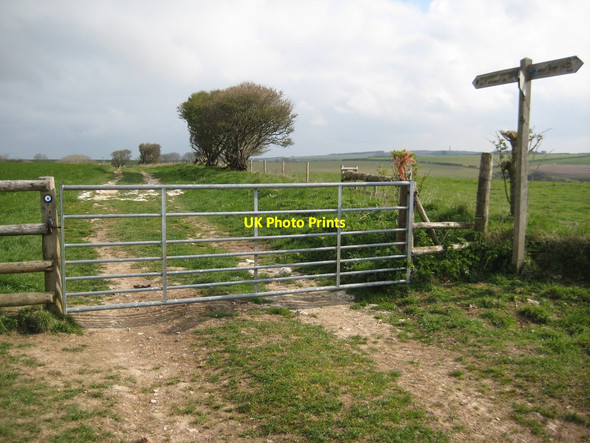 Photo 6"x4" Meeting of bridleways, White Abbotsbury\/SY5785 c2012
