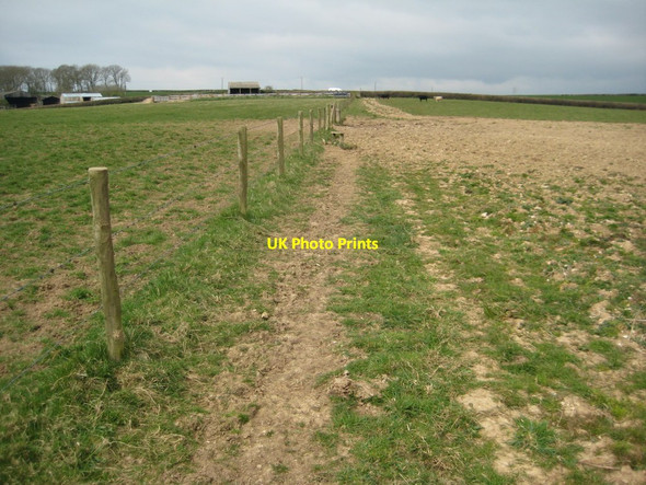 Photo 6"x4" The South Dorset Ridgeway Portesham c2012