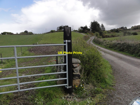 Photo 6"x4" Gate by the road Skibbereen\/W1234 c2012