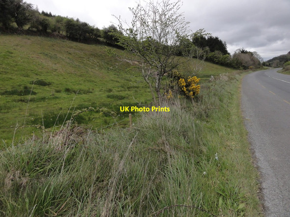 Photo 6"x4" Steep hillside Drinagh c2012