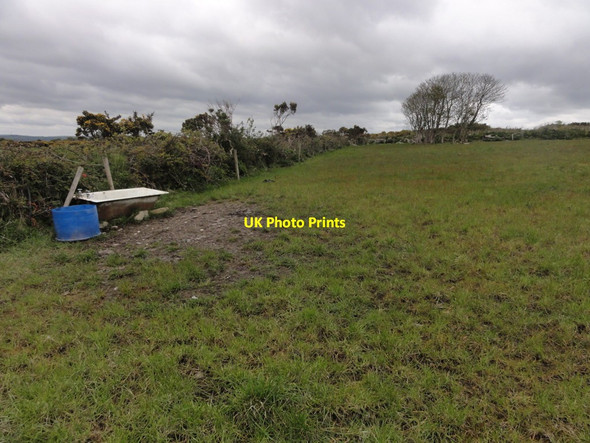 Photo 6"x4" Bath in a field Ardfield c2012