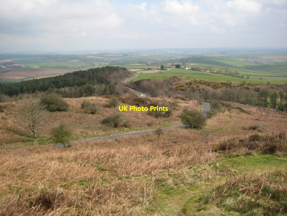 Photo 6"x4" View to the east from Black Down Coryates c2012