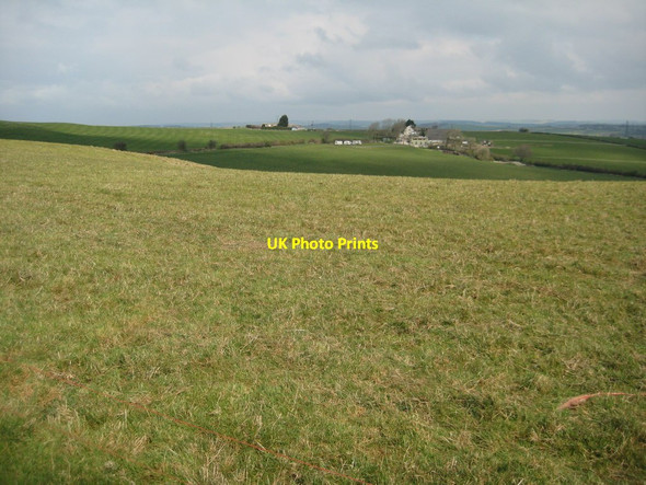 Photo 6"x4" Goldcombe Farm Coryates c2012