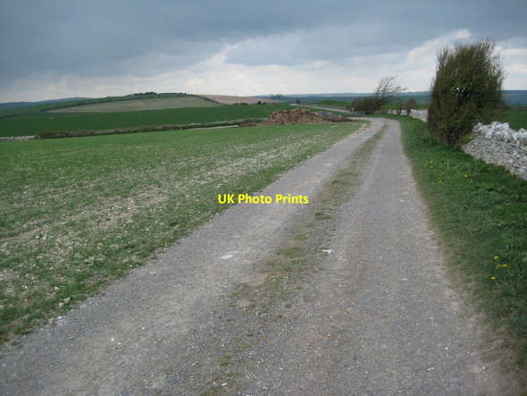 Photo 6"x4" South Dorset Ridgeway Winterborne Monkton c2012