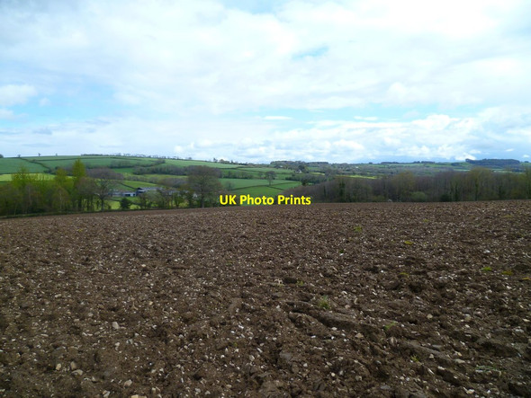Photo 6"x4" Orange Way in Devon and Torbay (532) Hawkchurch c2012