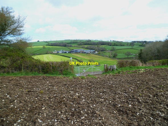 Photo 6"x4" Orange Way in Devon and Torbay (533) Hawkchurch c2012