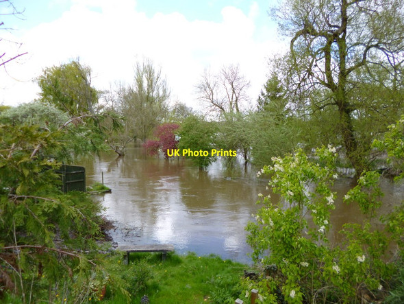 Photo 6"x4" Charlton Marshall, flooded gardens Blandford Forum c2012