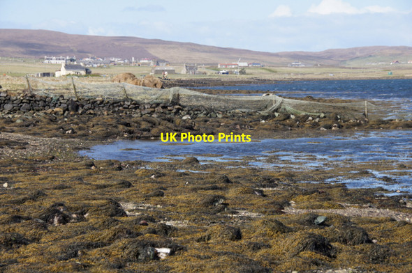 Photo 6"x4" Coastline of the voe at Baltasound Baltasound c2012 P1