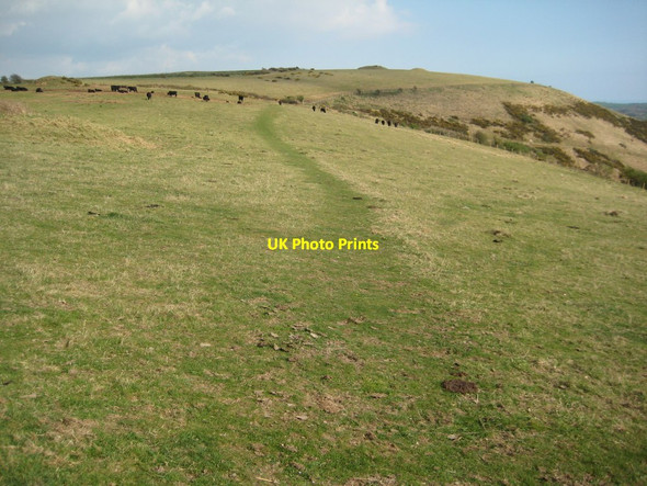 Photo 6"x4" South Dorset Ridgeway Preston\/SY7083 c2012