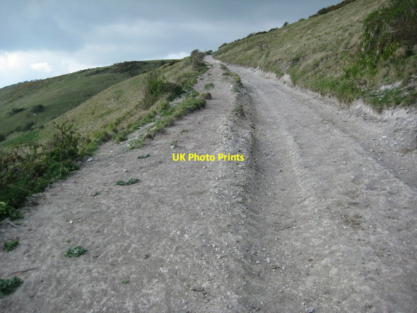 Photo 6"x4" Track ascending White Horse Hill Osmington c2012