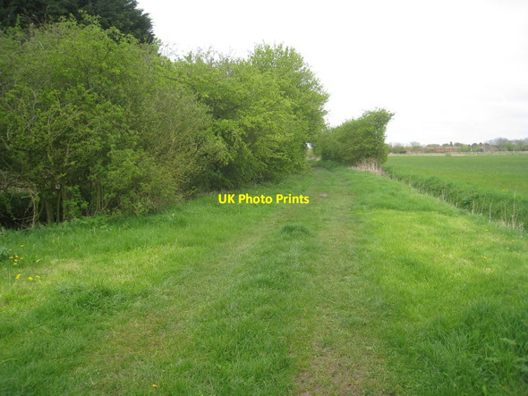 Photo 6"x4" Byway at Marshchapel (2) Marshchapel c2012
