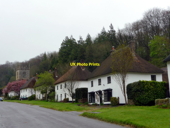Photo 6"x4" Thatched Cottages, Milton Abbas, Dorset Milton Abbas c2012