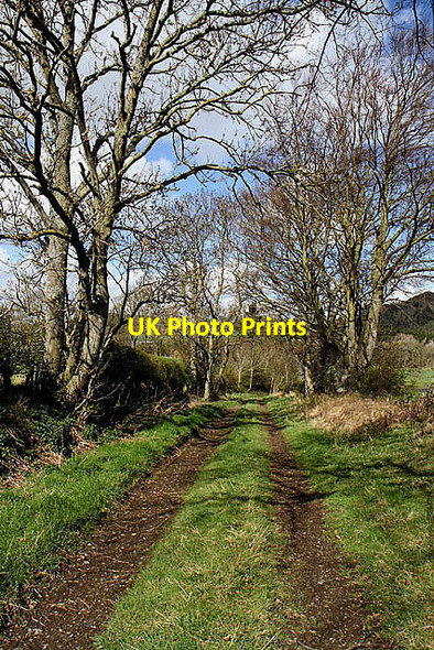 Photo 6"x4" A farmland access track at Spittal-on-Rule Bedrule c2012