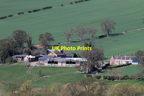 Photo 6"x4" Broom Farm Ancrum c2012